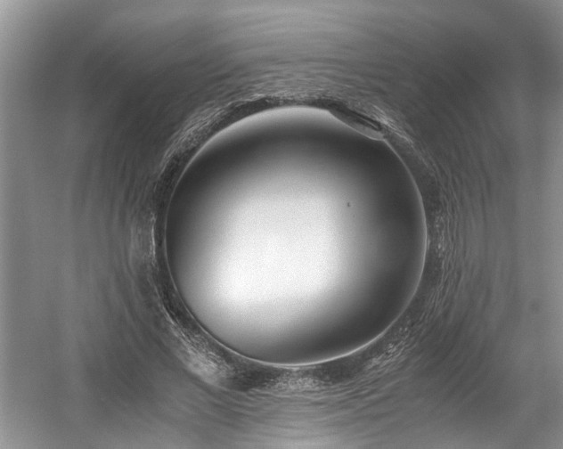 X0000059050685200510101012