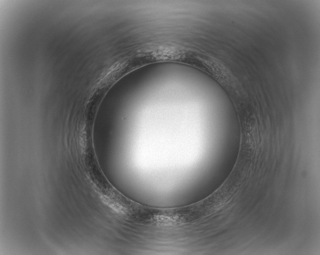 X0000059050690200510101012