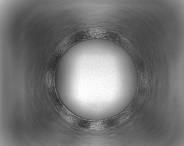 X0000059050705200510101012