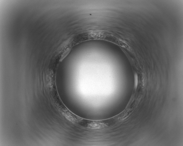 X0000059050712200510101012