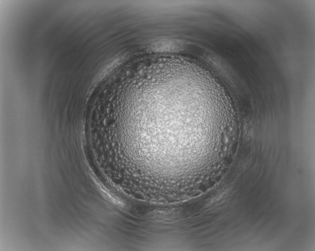 X0000059050725200510101011