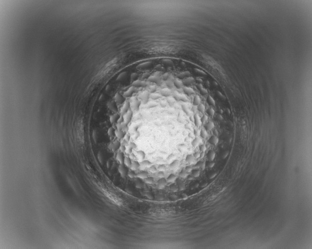 X0000059050729200510101011