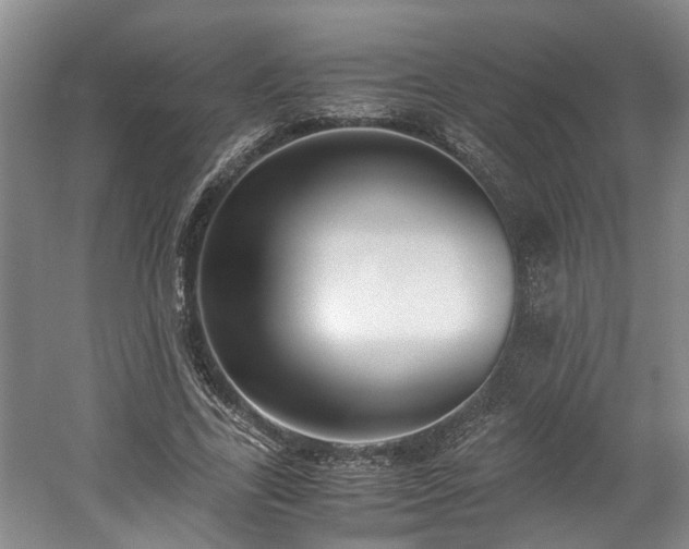 X0000059050731200510101011