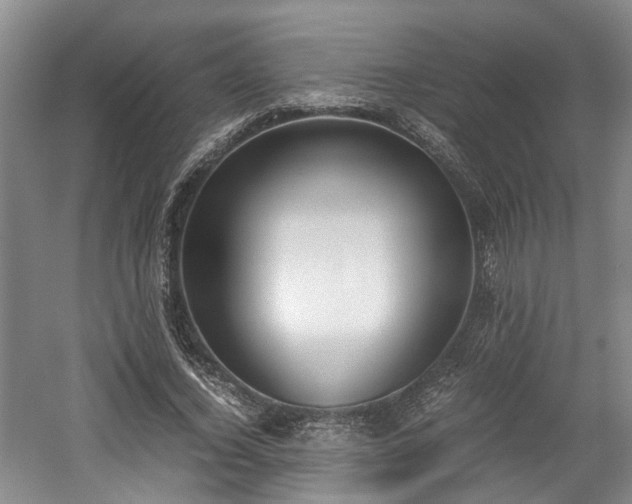 X0000059050732200510101011