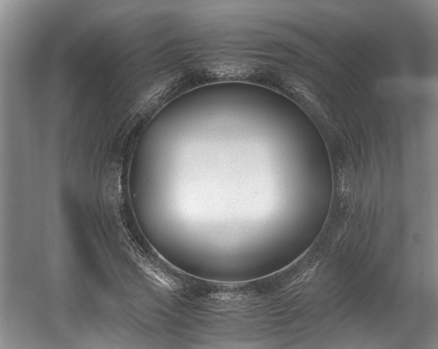 X0000059050733200510101011