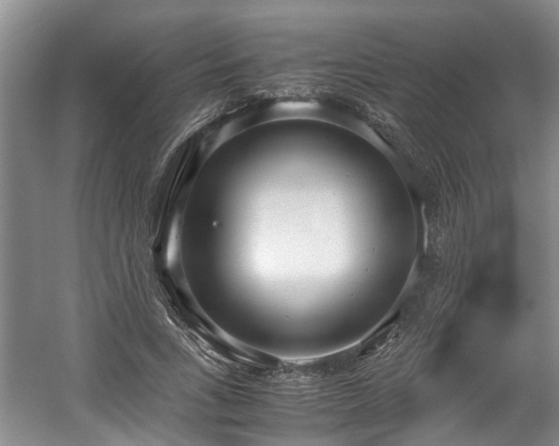 X0000059050735200510101011