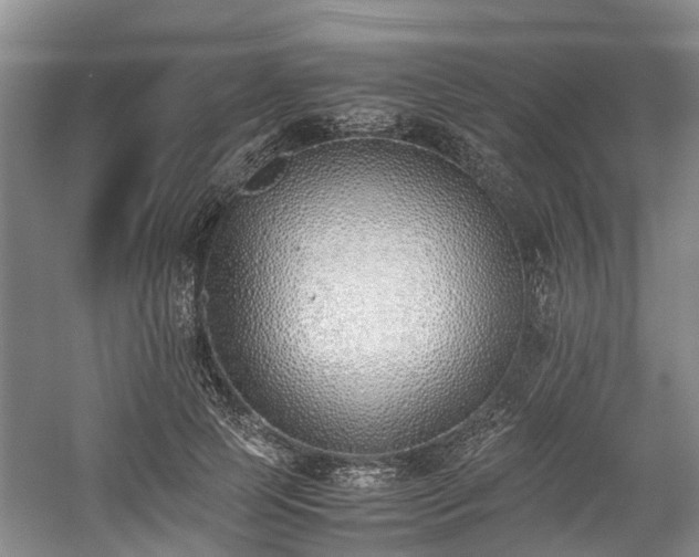 X0000059050745200510101011