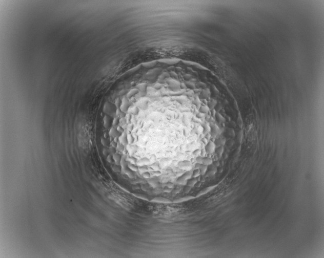 X0000059050772200510101011