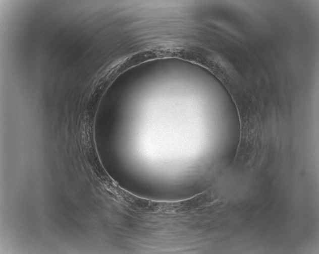 X0000059050773200510101011