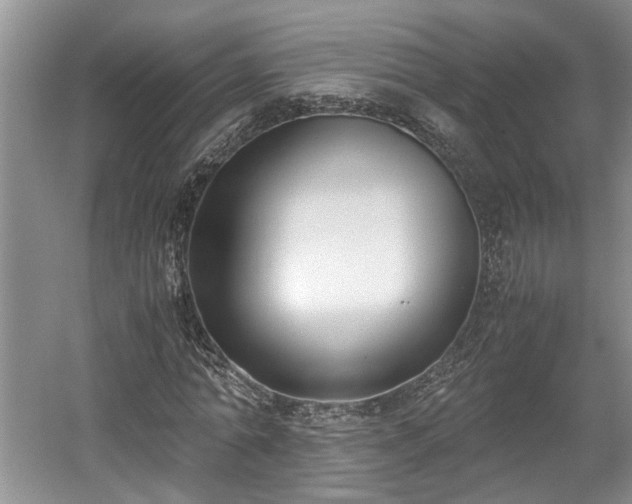 X0000059050774200510101011