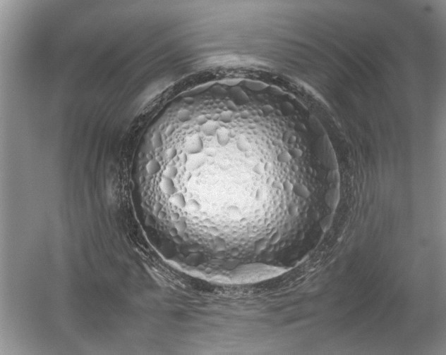 X0000059050775200510101011