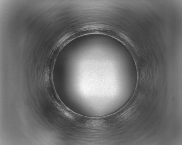 X0000059050778200510101011