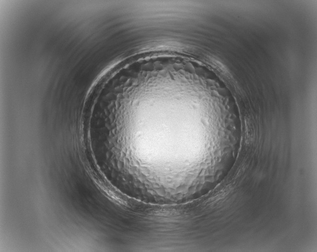 X0000059050780200510101011
