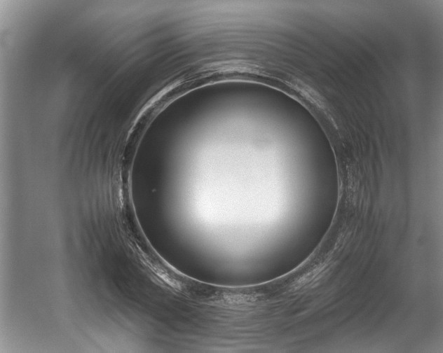 X0000059050782200510101011
