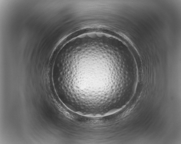 X0000059050783200510101011