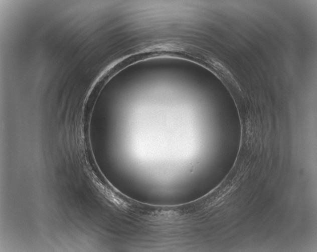 X0000059050784200510101011