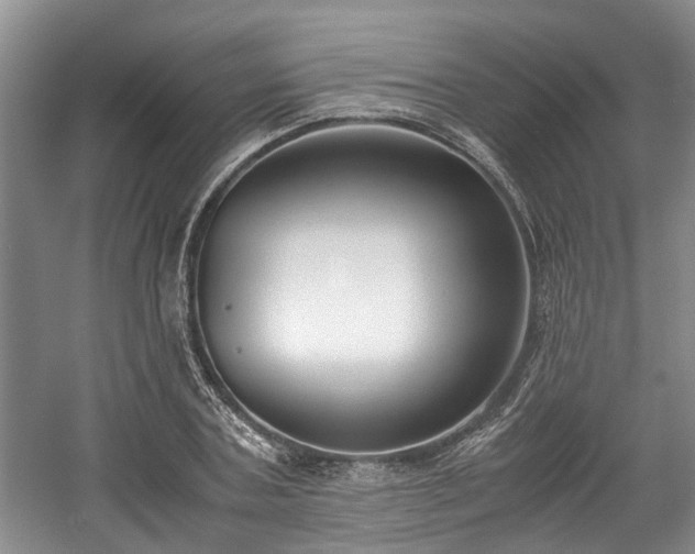 X0000059050787200510101010