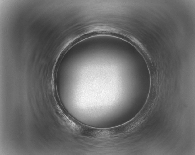 X0000059050791200510101010