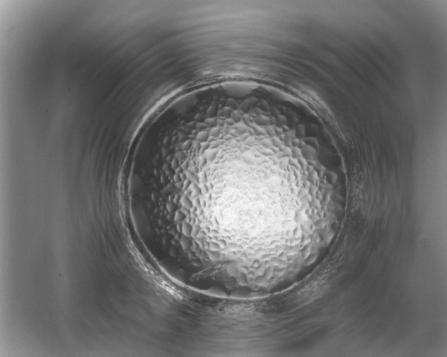 X0000059050798200510101010