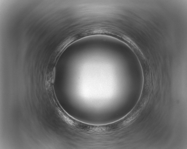 X0000059050801200510101010