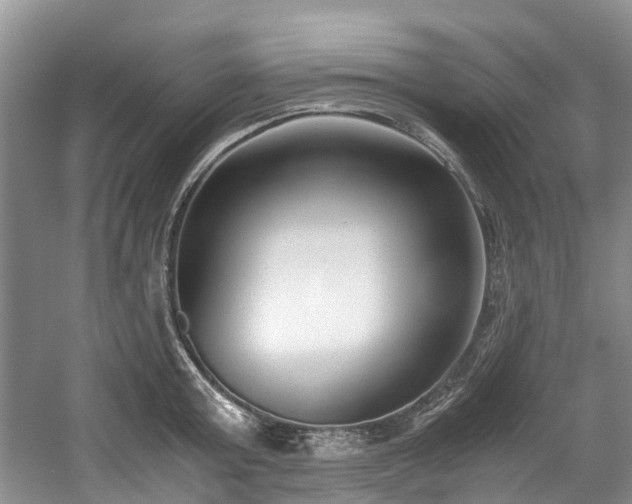 X0000059050803200510101010