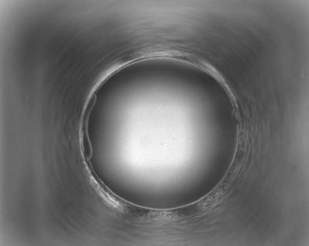 X0000059050811200510101010