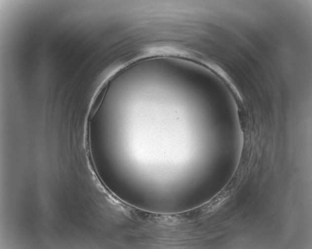 X0000059050815200510101010