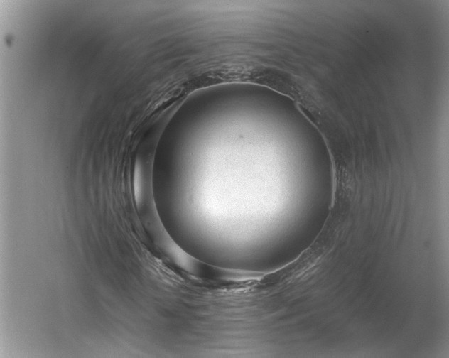 X0000059050818200510101009