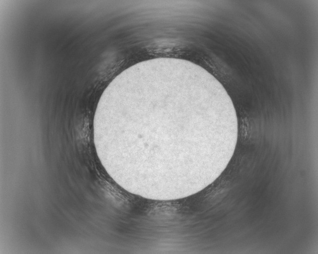 X0000059050820200510101009