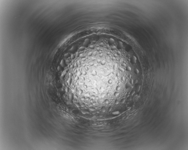 X0000059050823200510101009