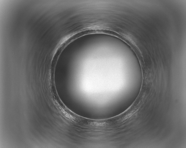 X0000059050831200510101009