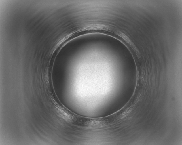 X0000059050834200510101009