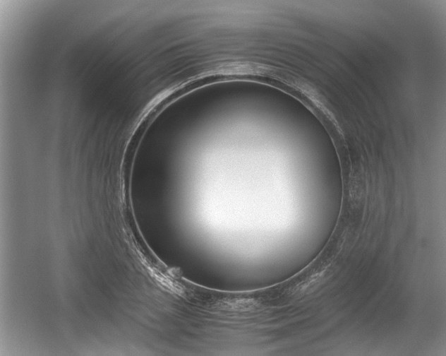 X0000059050837200510101010