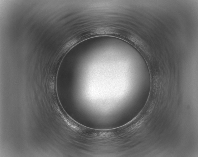X0000059050841200510101010