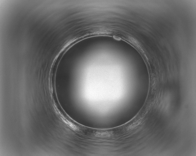 X0000059050843200510101010
