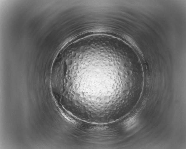 X0000059050845200510101010