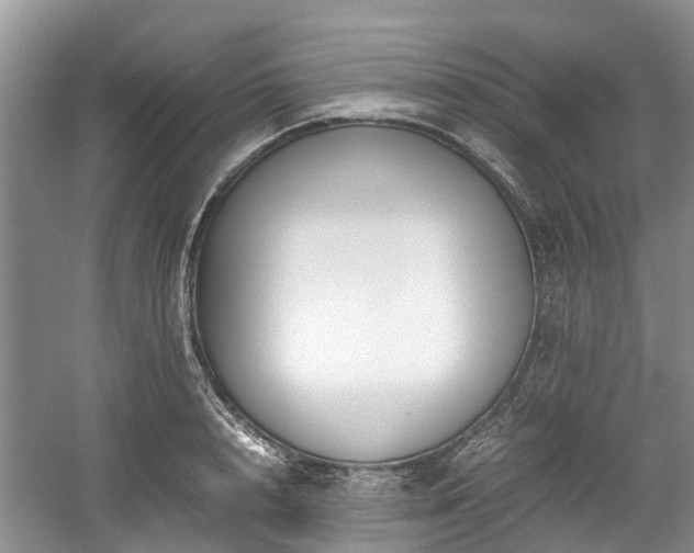 X0000059050848200510101010