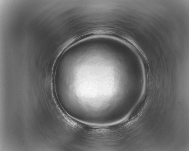 X0000059050853200510101010