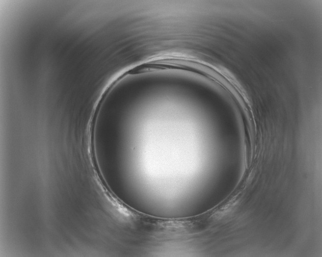 X0000059050862200510101010