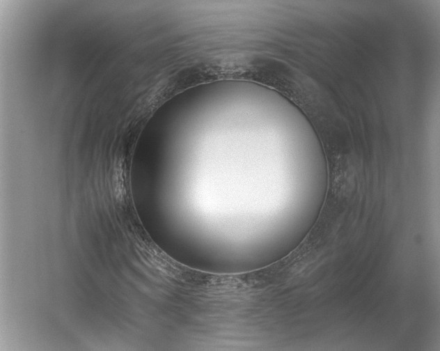 X0000059050866200510101009