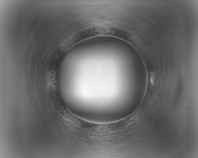 X0000059050867200510101009