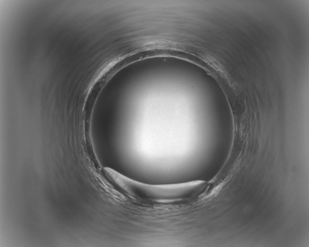 X0000059050877200510101009