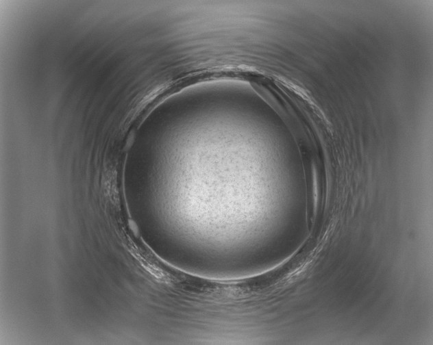 X0000059050881200510101009