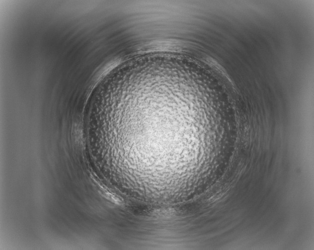 X0000059050882200510101009