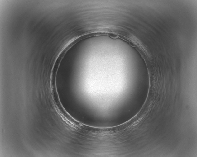 X0000059050884200510101009