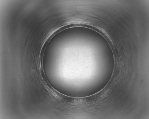 X0000059050887200510101009