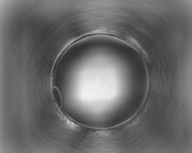 X0000059050900200510101009