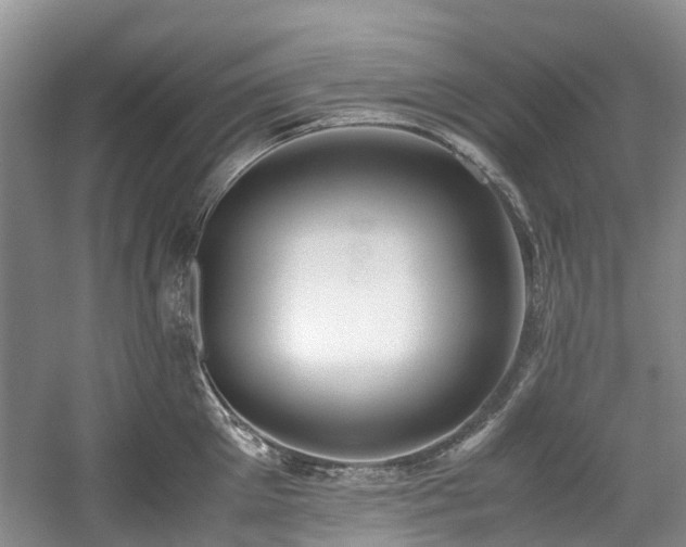 X0000059050905200510101008