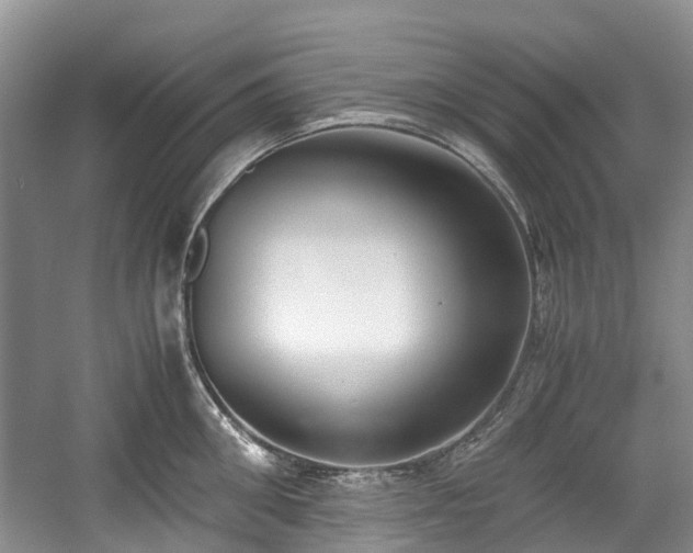 X0000059050906200510101008