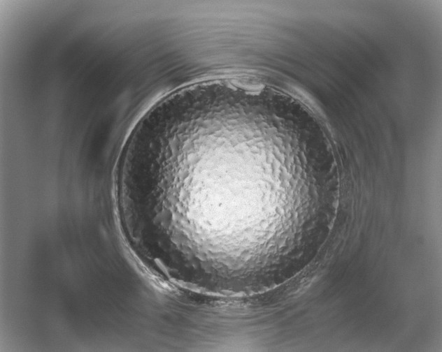 X0000059050907200510101008